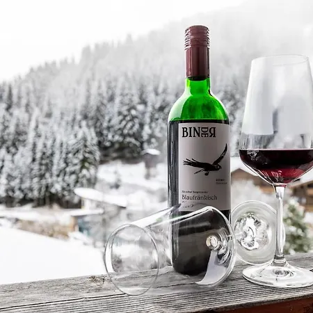 Geierberg 3* Filzmoos